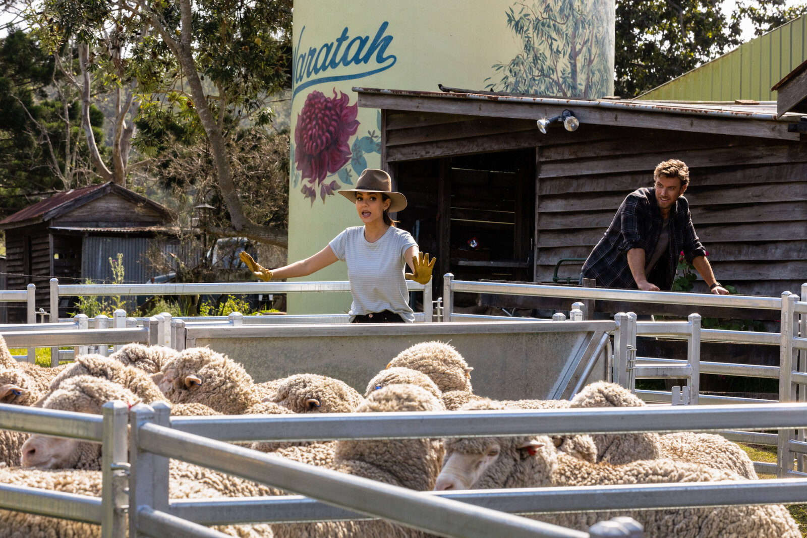 In der Netflix-RomCom A Perfect Pairing trifft Karrierefrau Lola (Victoria Justice) auf Countryboy Max (Adam Demos) – und viele Schafe.